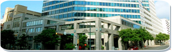 SVC Integration - International site selection, with focus on public & private incentives. Real estate development, relocation services in America, Mexico, Canada and around the globe.